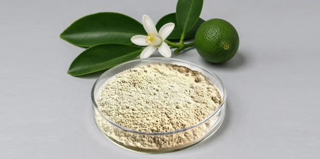 Natural Sweeteners & Flavor Modifiers